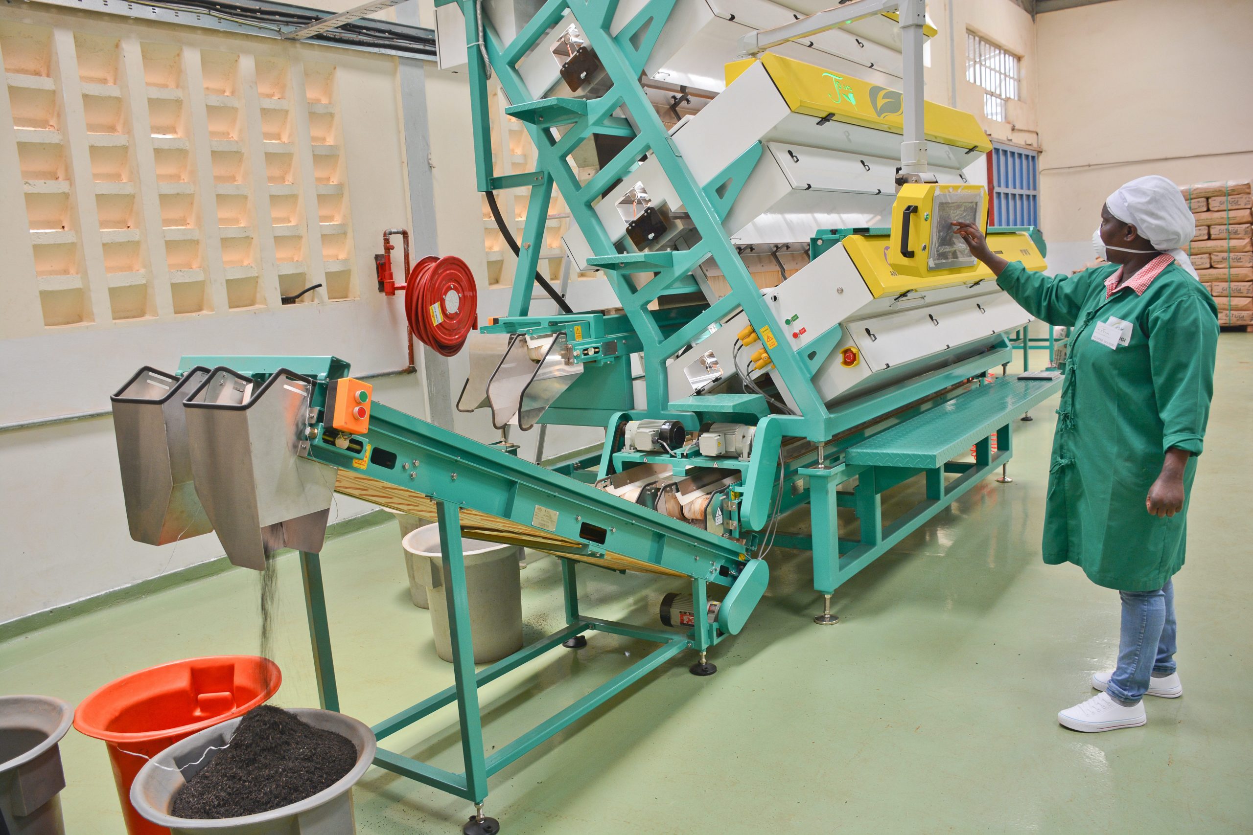 Modern Tea Processing
